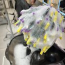 현정&뷰티 이미지