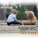 (방송 시작) 버지니아의 ＜순수의 시대＞ 번개로 방송합니다. (18시-20시) 이미지