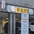 산호빌 | 창원애견미용샵 꼼꼼하댕 다녀왔어요!!