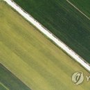 들녘 옷 이미지