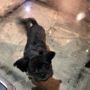 렛츠개릿 이미지