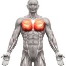 팀 스파르타짐 이미지