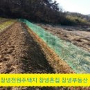 【창녕부동산】 현풍인근 투자100% 창녕전원주택지 915평매매 (창녕촌집) 이미지