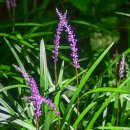 영산대학교(해운대) 이미지