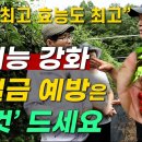 성기능 강화 요실금 예방 '이것' 드세요 이미지