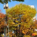 연세후생치과의원 이미지