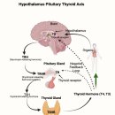 브레인한의원 | [자율신경 실조증 한의원] 브레인 포그, '이것'을 확인해야 치료할 수 있습니다.