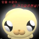 지씨엘(GCL) 이미지