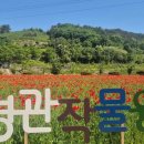 농업테마파크 케이에스피뉴스