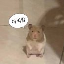 우성갈비 - 고성군 성내로151번길 4 | 우성갈비