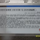 최만리선생묘 및 신도비 이미지