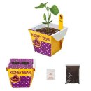 홈가드닝 이미지