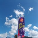 애견샵 어린왕자 이미지