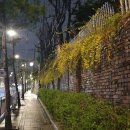 이강우커피 | 연극 프라이드 후기