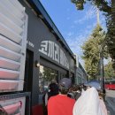 코끼리베이글 이미지