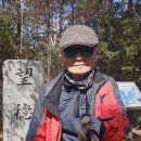 광양'배알도 망덕산'답사 이미지