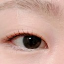 누브(nuve)
