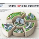에코라인 이미지