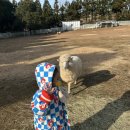 이안목장 이미지