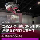 부산현대미술관에서 만난 《코뿔소와 유니콘》, 《몸, 실험 중》, 《수집: 결정의 방》 관람 후기