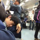 디모데농장 이미지