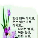 미묘 이미지