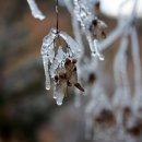 심천자연휴양림콘도 이미지