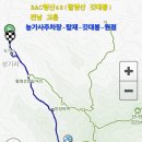 팔영산깃대봉 Daum카페