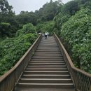 남도 일박이일 다녀오기 이미지