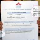 홍세영 이미지