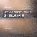 성수동 헤어라인 자연스럽게 채우고 싶다면, '공간, 꼼꼬미' 헤어팡팡 헤어섀도우 후기