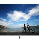 자전거 탄 풍경 카카오 검색결과