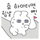 프롬.지은 이미지