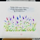 플러스펜 수채 캘리 네이버블로그