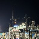 뉴서울낚시 | 여수 쭈꾸미 갑오징어 포시즌배낚시 11월29일 후기