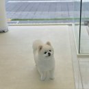 행복미용실 이미지