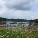 백학자연생태학습장 | 연천 백학저수지.백학저수지 낚시터.백학자연생태학습장