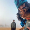 강천섬관리사무소화장실 | 강천섬 11월 은행나무 캠핑 백패킹 반려견 동반 인현왕후 7번 후기