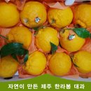 몽땅365