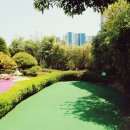 궁전라벤더 이미지