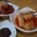 힘센복돼지
