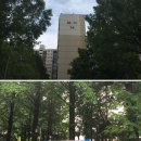 현대4차2단지 이미지