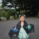 동화작가의 집 | 제주 키즈스냅 , 요정 컨셉의 동화스냅 후기