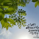 마스터캘리포토그라피