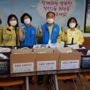 싱싱야채 수도권일보