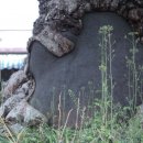 교가1리 이미지