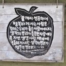 [내돈내산] 평창 가볼만한곳 허브나라농원 데이트 코스 추천 (평창 아이랑 가볼만한곳 볼거리 총정리)