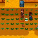 경현농장 이미지