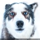 National Geographic Photo Contest 2014- 이미지