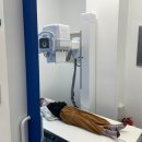 이든소아청소년과의원 이미지